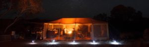 larapinta walking tours