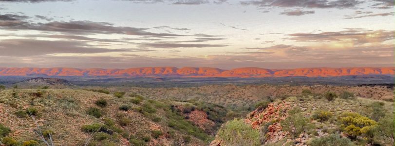 larapinta trail