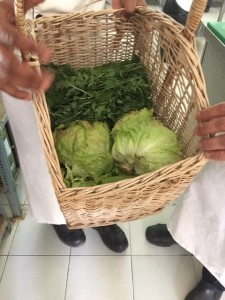 serai kitchen garden
