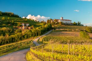 Colourful sunset in the vineyards of Rosazzo, Friuli,Venezia-giulia. Experience this with us on our luxury food and wine tour of north east Italy | EPIcURIOUS travel
